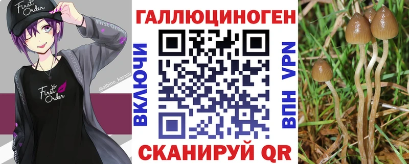 кракен вход  Омск  Псилоцибиновые грибы Psilocybe  наркошоп 